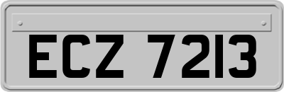 ECZ7213