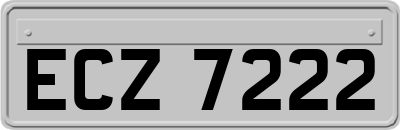 ECZ7222