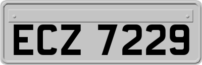 ECZ7229