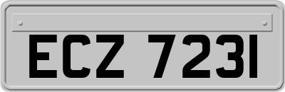 ECZ7231