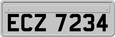 ECZ7234