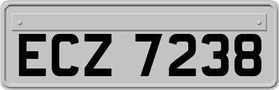 ECZ7238