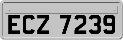 ECZ7239
