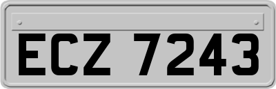 ECZ7243