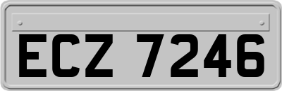 ECZ7246