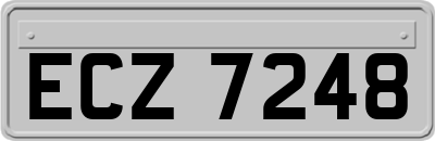 ECZ7248