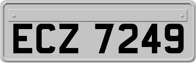 ECZ7249