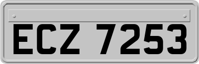 ECZ7253