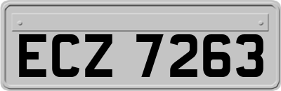 ECZ7263
