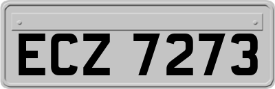ECZ7273
