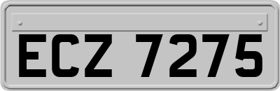 ECZ7275