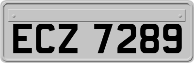 ECZ7289