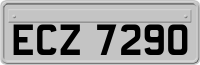 ECZ7290
