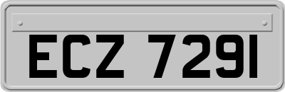 ECZ7291