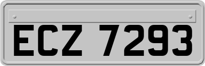 ECZ7293