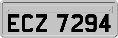 ECZ7294