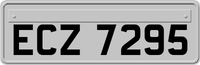 ECZ7295