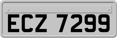 ECZ7299