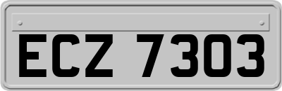 ECZ7303