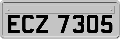 ECZ7305