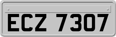 ECZ7307