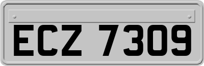ECZ7309