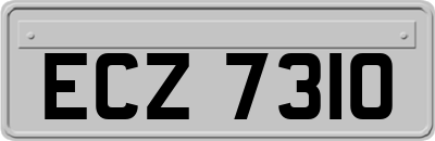 ECZ7310