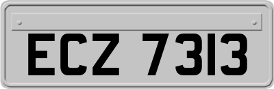 ECZ7313