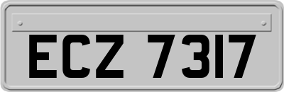ECZ7317