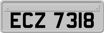 ECZ7318