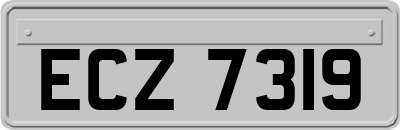 ECZ7319