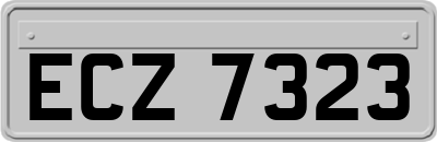 ECZ7323