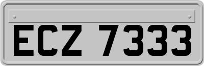ECZ7333