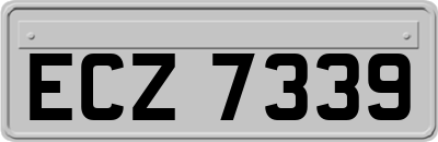 ECZ7339