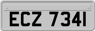 ECZ7341