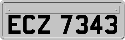 ECZ7343