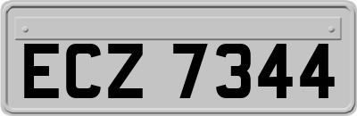 ECZ7344
