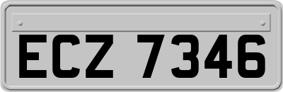 ECZ7346