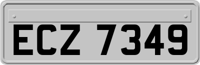 ECZ7349