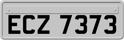 ECZ7373