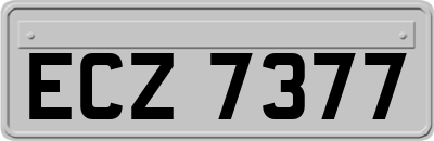 ECZ7377