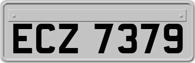ECZ7379