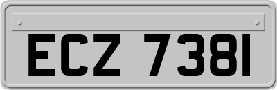 ECZ7381