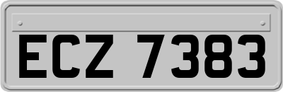ECZ7383