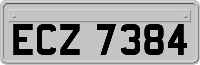 ECZ7384