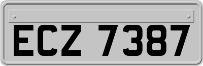 ECZ7387
