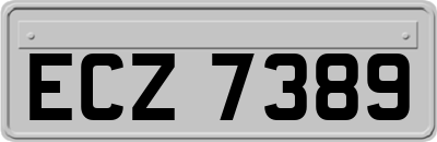 ECZ7389