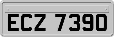 ECZ7390