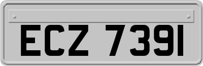 ECZ7391