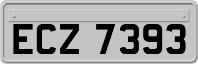 ECZ7393